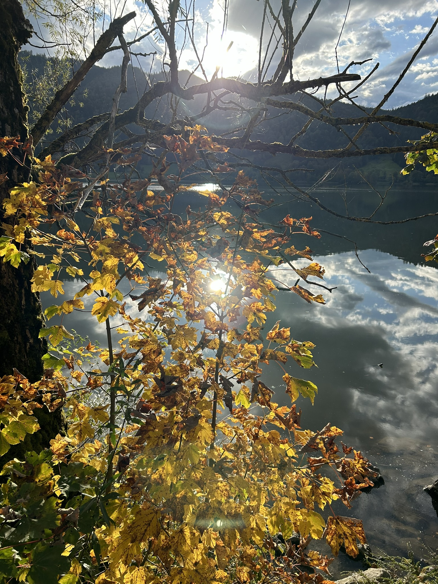 Bavaria lake mountains
